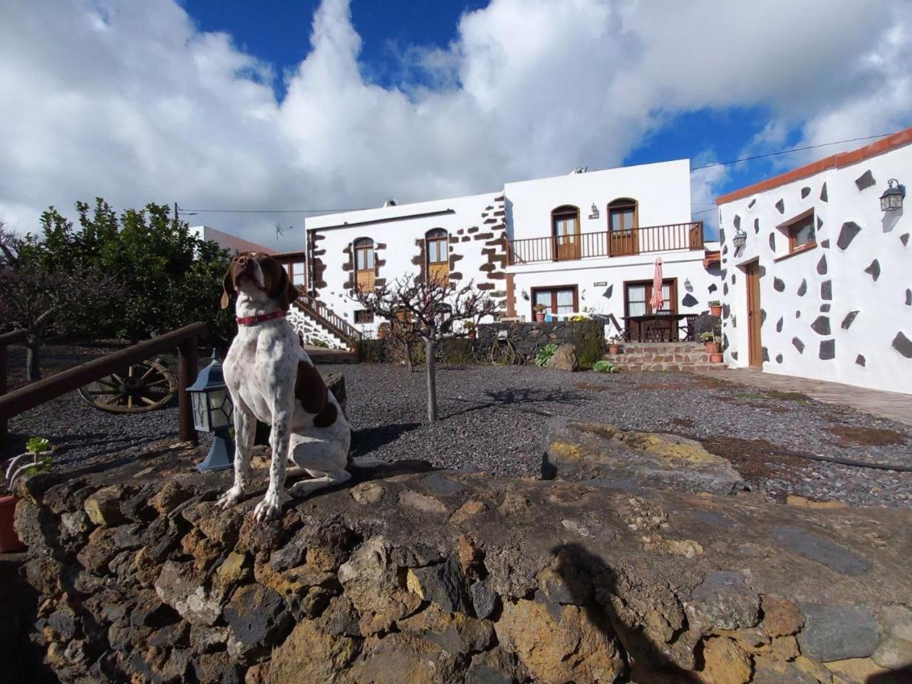 Las Casas Del Abuelito Julian & La Abuela Leonor Isora Ngoại thất bức ảnh